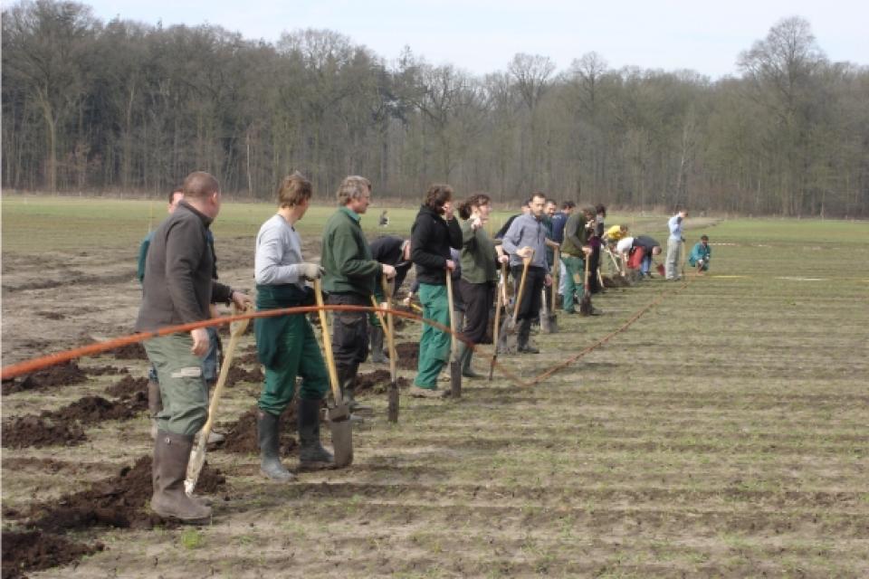 De bosaanplanting in het Vloethemveld, maart 2010. © FORBIO