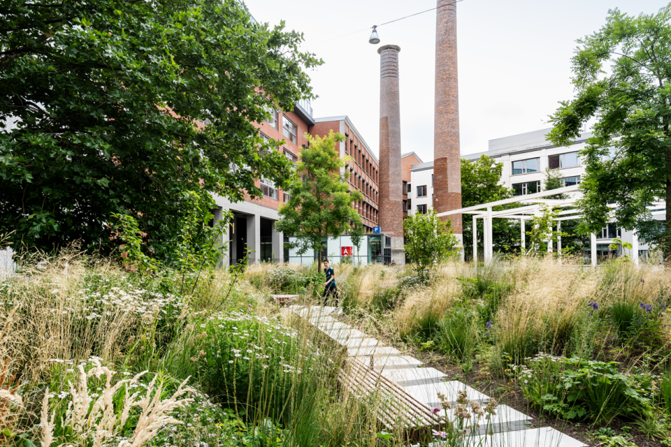 De vernieuwde daktuinen van stadskantoor Den Bell © OMGEVING-LUCID