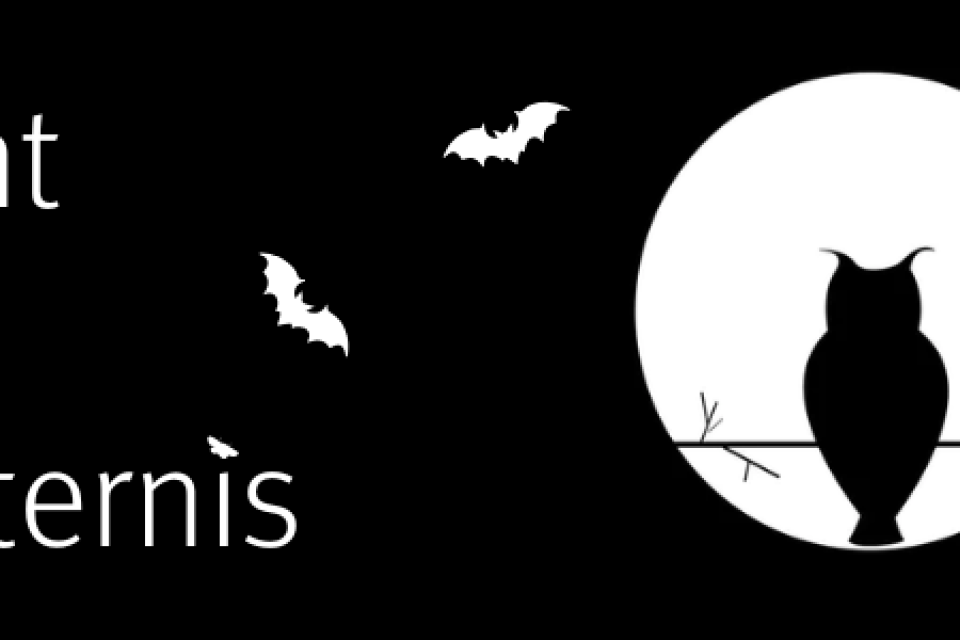 Campagnebeeld Nacht van de Duisternis © provincie Oost-Vlaanderen