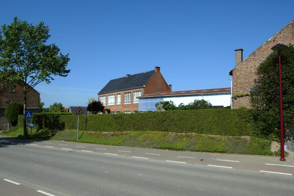 Gevlochten haag van gele kornoelje. © Kris Vandevorst