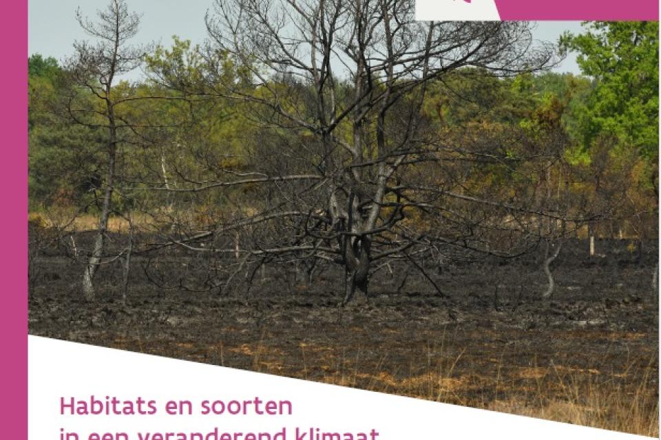Cover Weerbaar of kwetsbaar? Natuur en bos in tijden van klimaatverandering © INBO