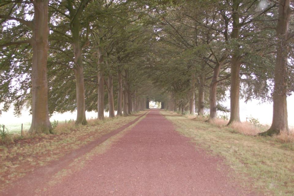 Park Kasteel van Bovelingen (illustratiebeeld) © Beeldbank Agentschap Onroerend Erfgoed