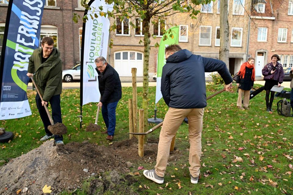Aanplanting van de Wisselboom in Brugge. © Green Deal Klimaatbestendige Omgeving