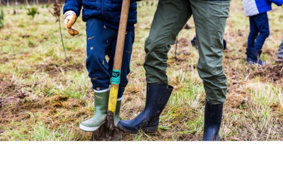 Illustratiebeeld © Gert Arijs