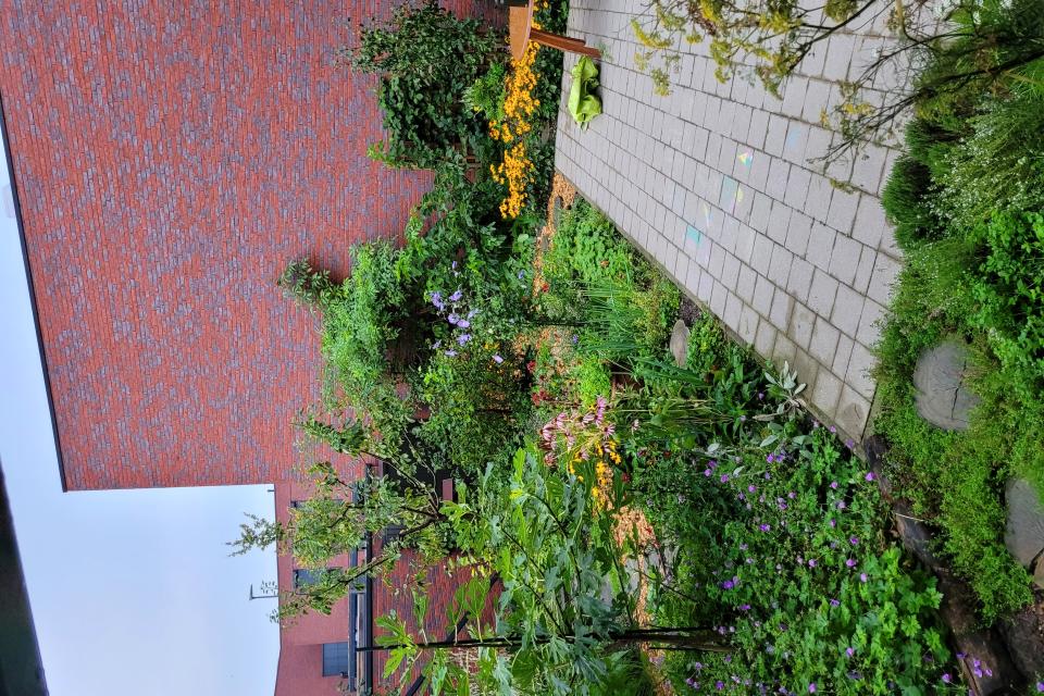1000015655_0.jpg