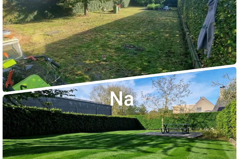 Herzaaien gazon