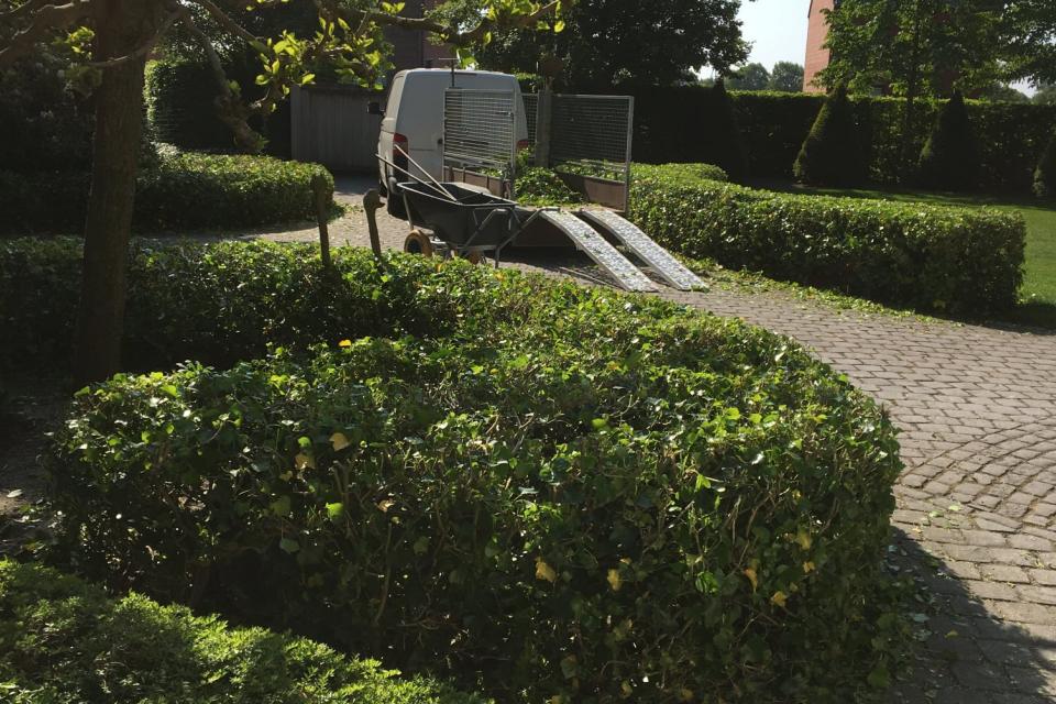 snoeiwerken