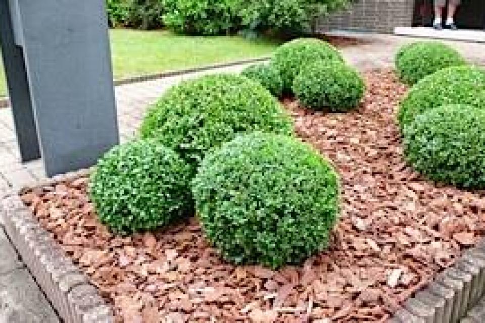 aanlengen en de onderhoud van u tuin 