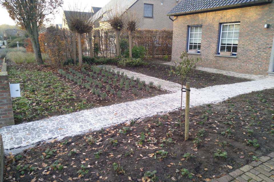 Aanplantingen