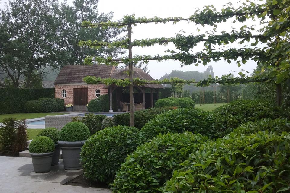 20160604_123035.jpg