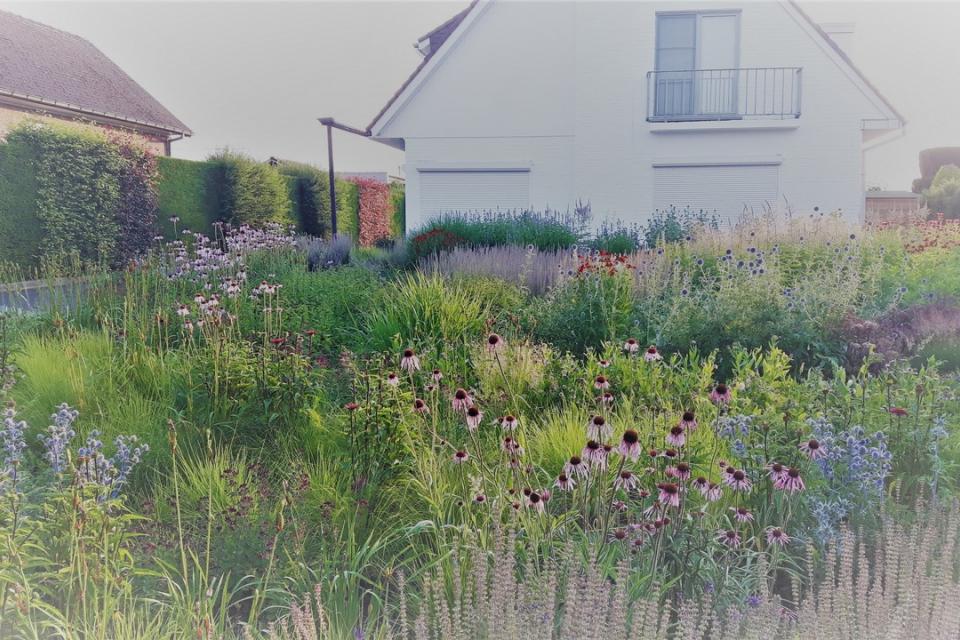 Een voormalig eerder klassieke saaie voortuin werd een tuin vol leven en beleving. Een kronkelend pad maakt het geheel doorwaadbaar. 