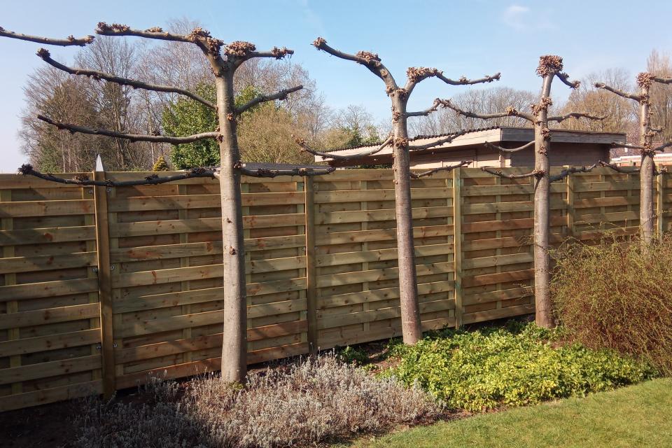 Tuinscherm