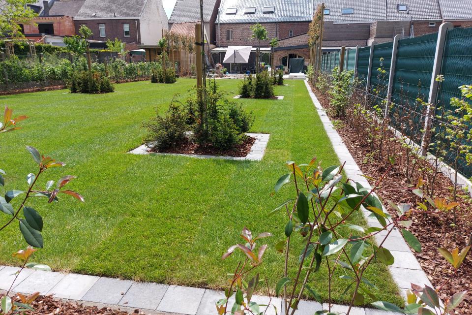 project tuinaanleg met hagen, gras en plantvormen