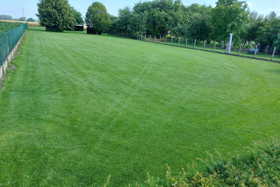 zaaien gazon