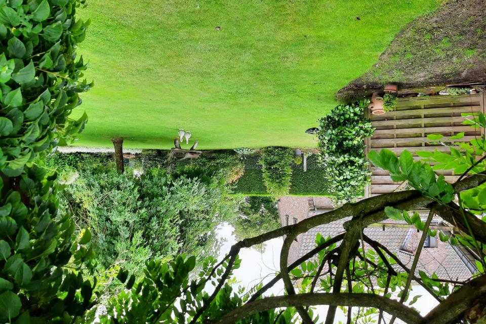 Tuinonderhoud