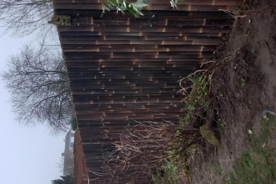 20211218_163605.jpg