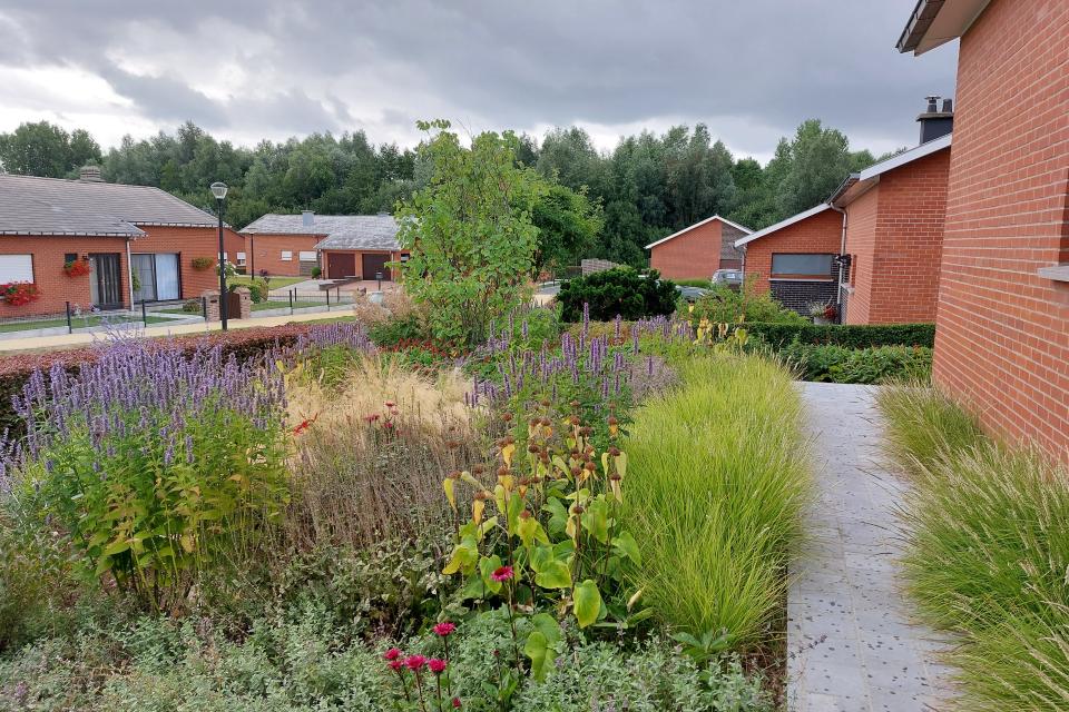 Klassieke saaie tuin werd omgevormd naar tuin waar genieten en biodiversiteit centraal staat.