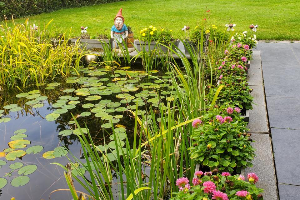 tuin met romantische vijver