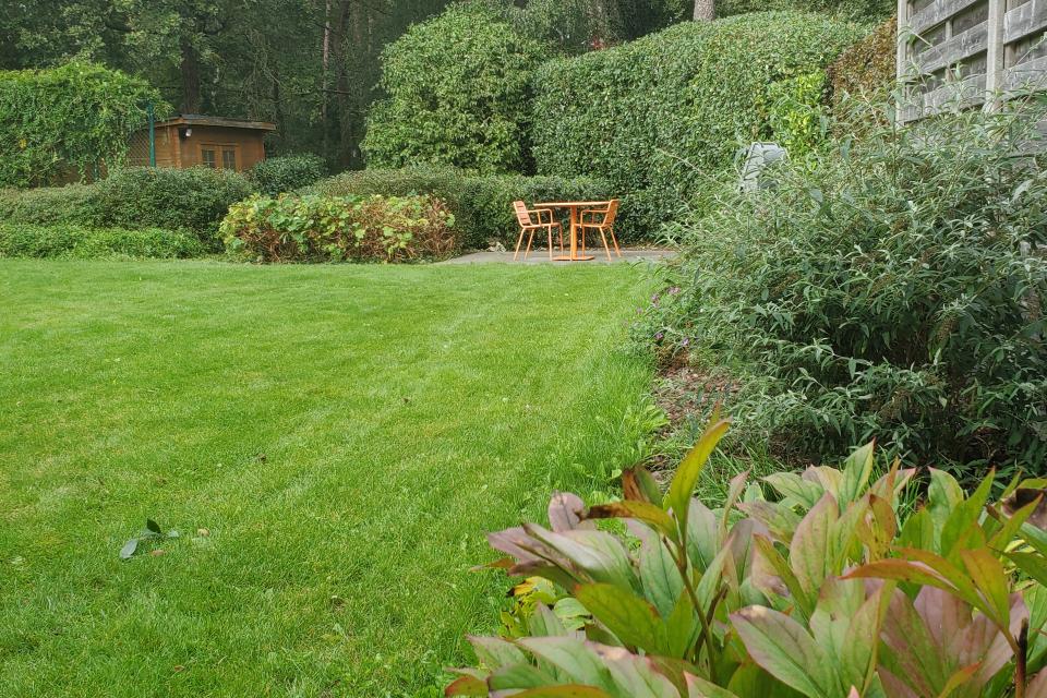 grasveld na behandeling