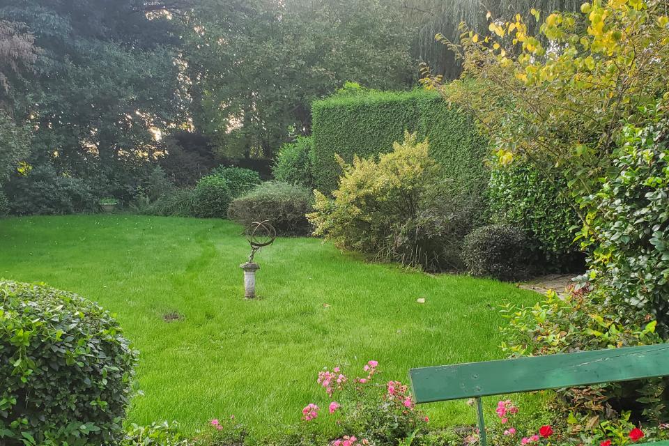 grasveld na behandeling