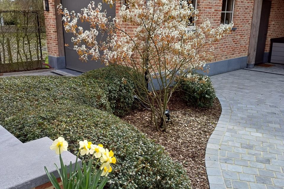Aanleg tuin