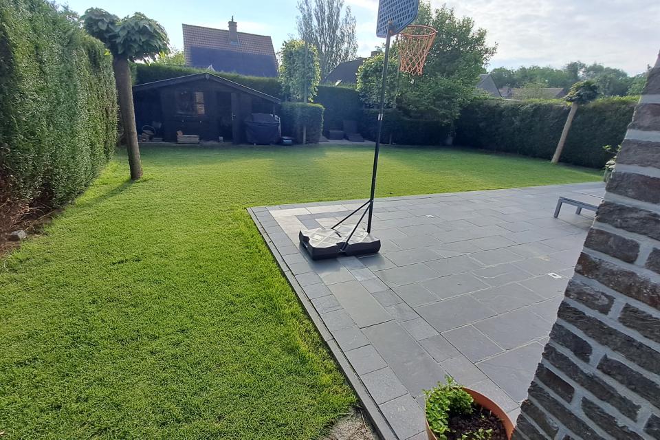 aanleg grasmatten 6 maand na datum