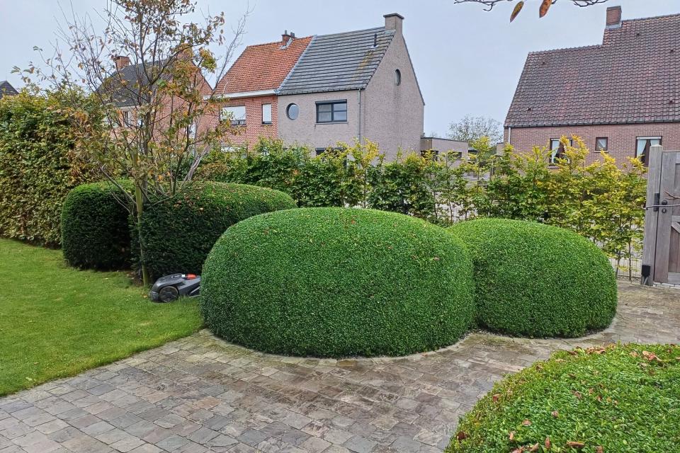 Snoeiwerken 
