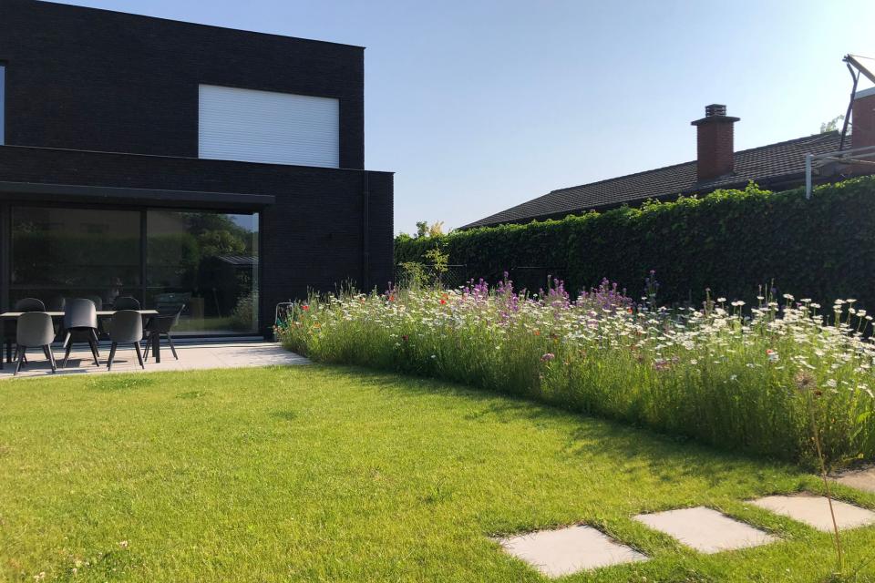 Aanleg van terras, stapstenen, gazon en bloemenweide