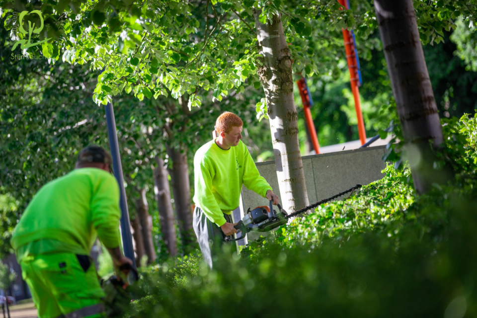 Groenonderhoud openbaar