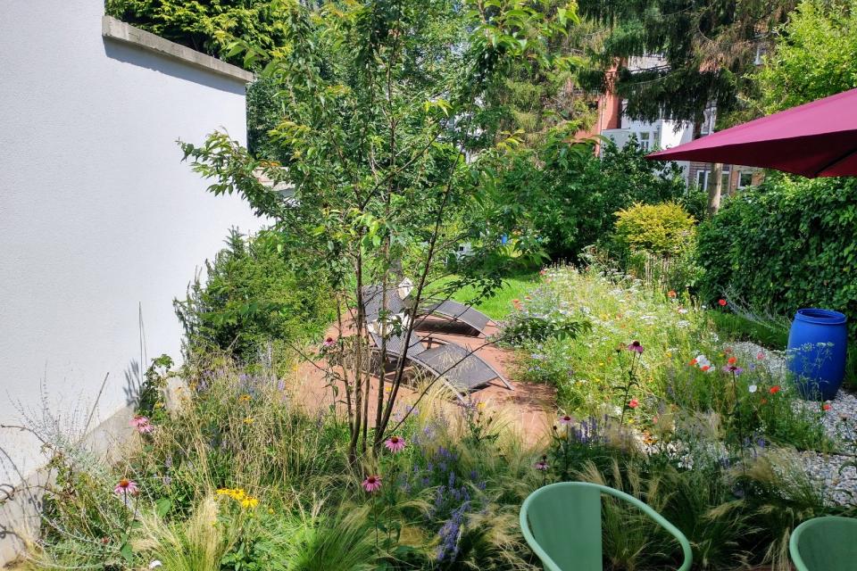 Natuurtuin