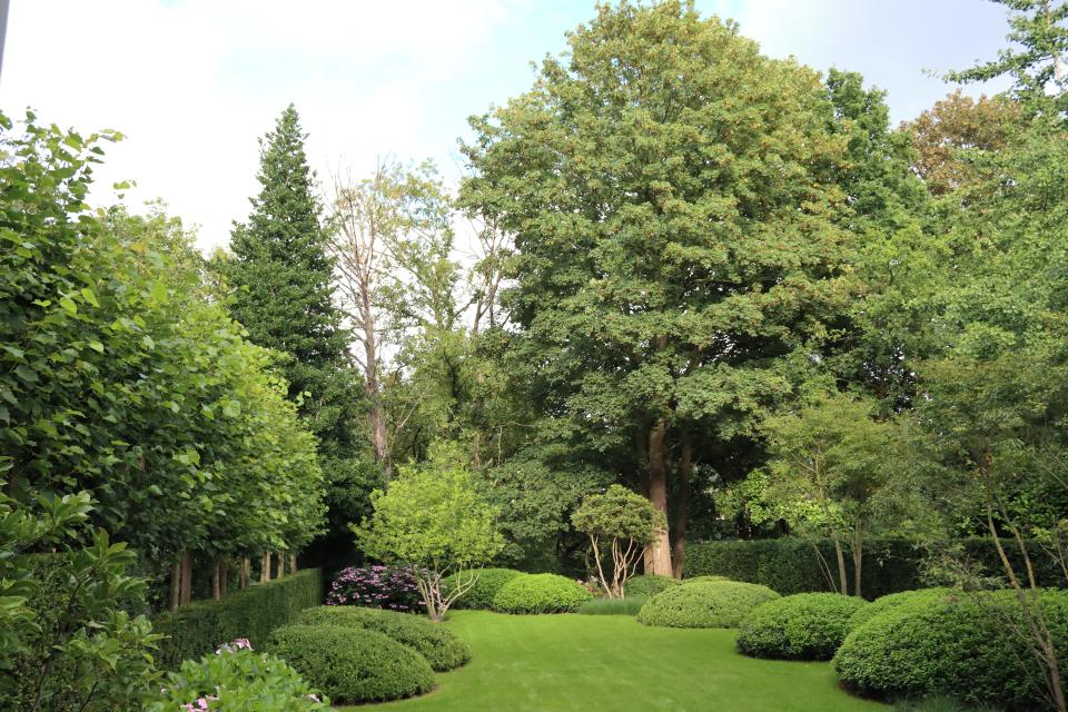 Achtertuin in Edegem