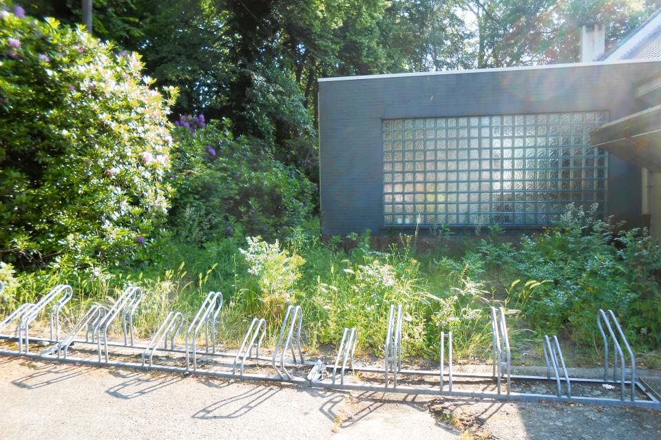 Verwilderde tuin