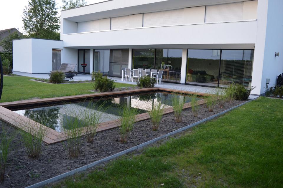 Aanleg van zwemvijver, terras in megategels en tuin.