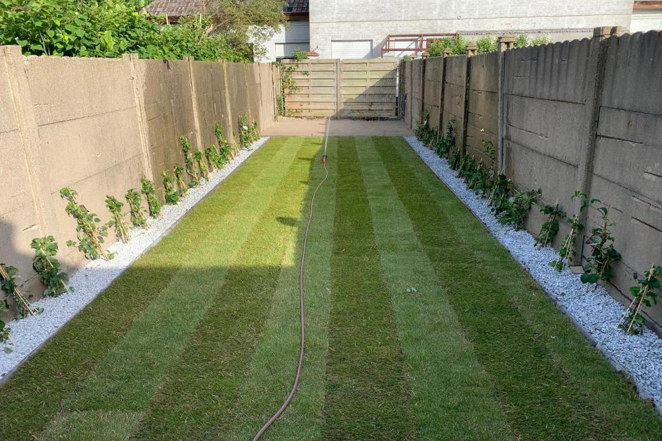 Onderhoud van tuin