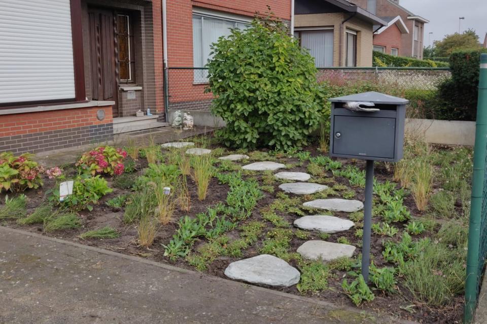 Renovatie voortuintje met een minimum aan verharding
