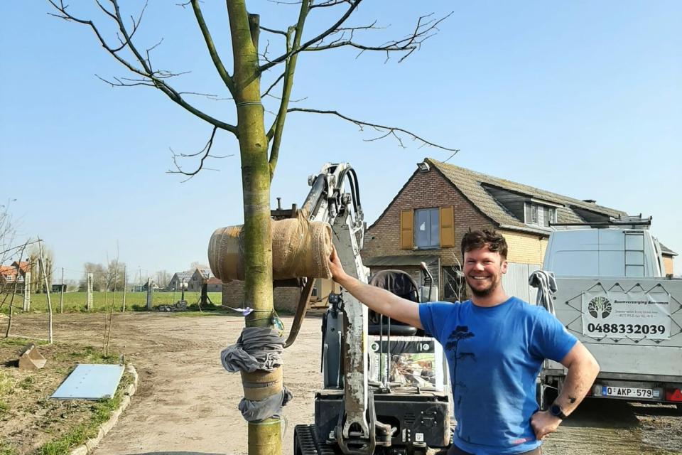 Aanplant van bomen