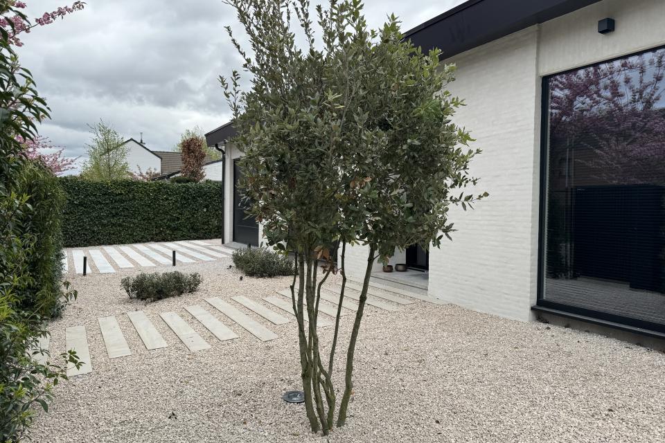 Gezellige moderne voortuin in Edegem 