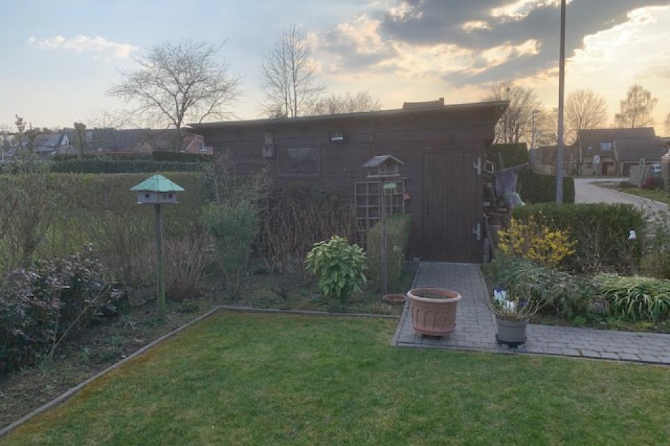Tuin
