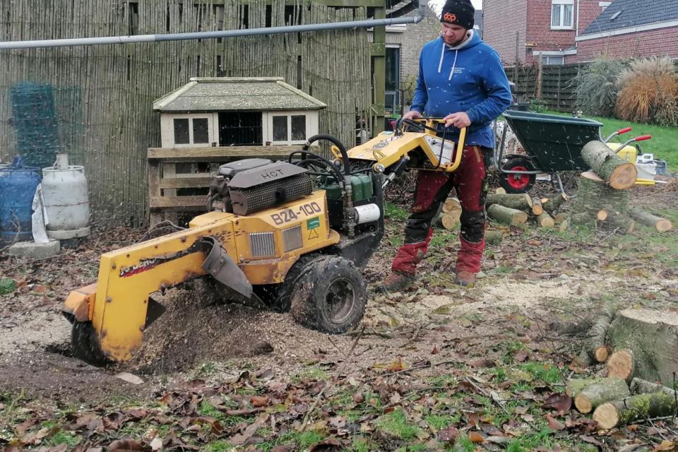 Uitfrezen van boomstronken 
