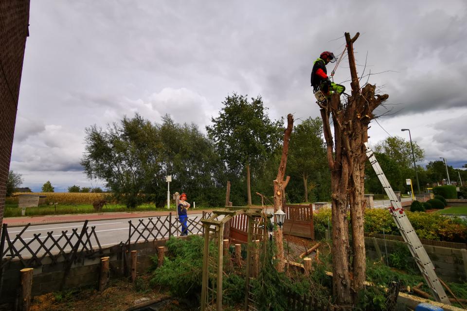 boomwerken 