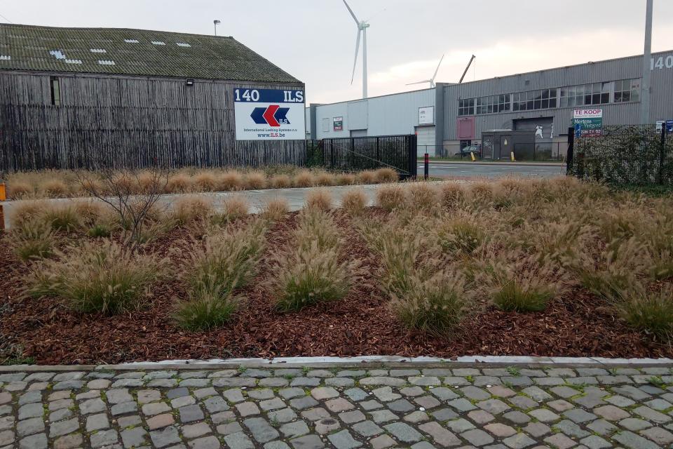 Aanleg bedrijfsterrein