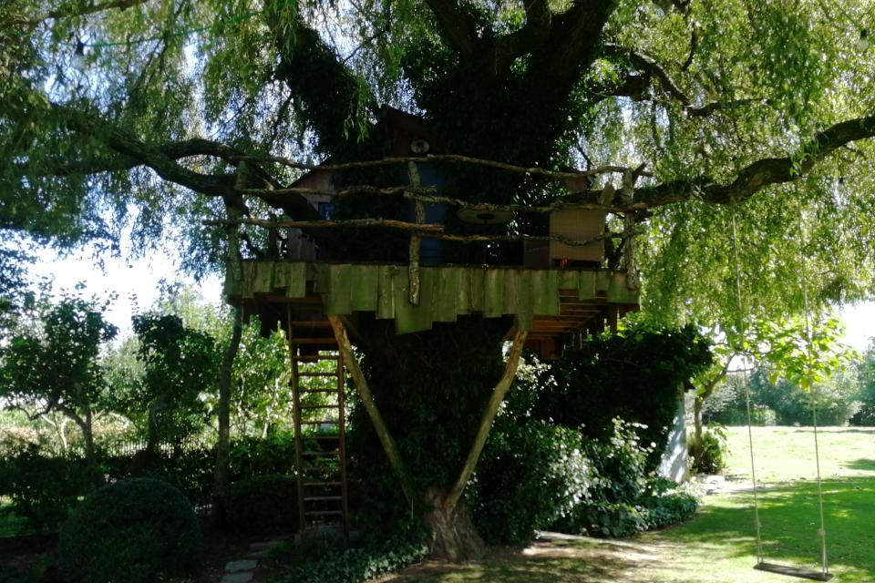 boomhut