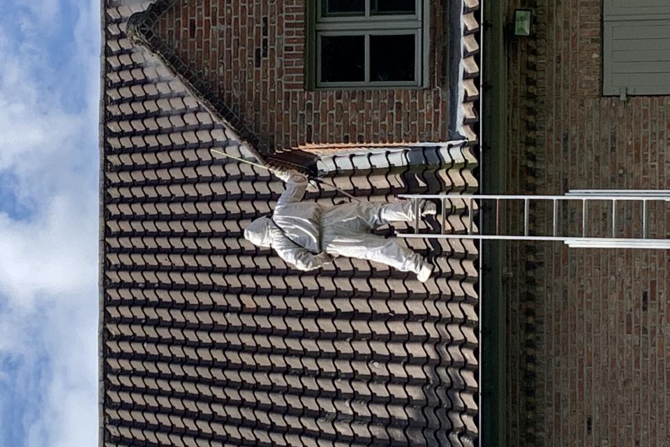 Verdelgen wespen 