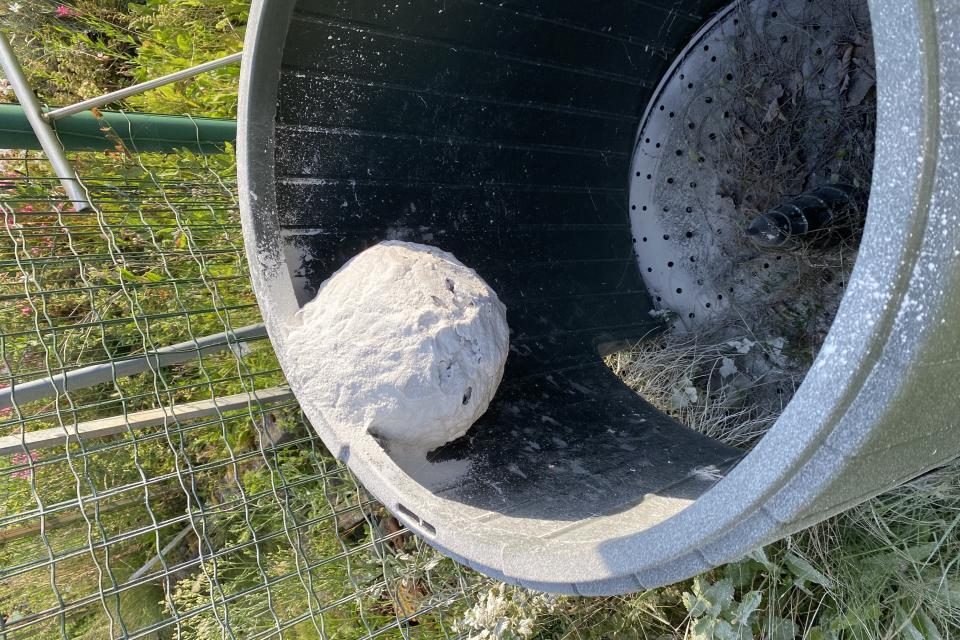 Verdelgen wespen 