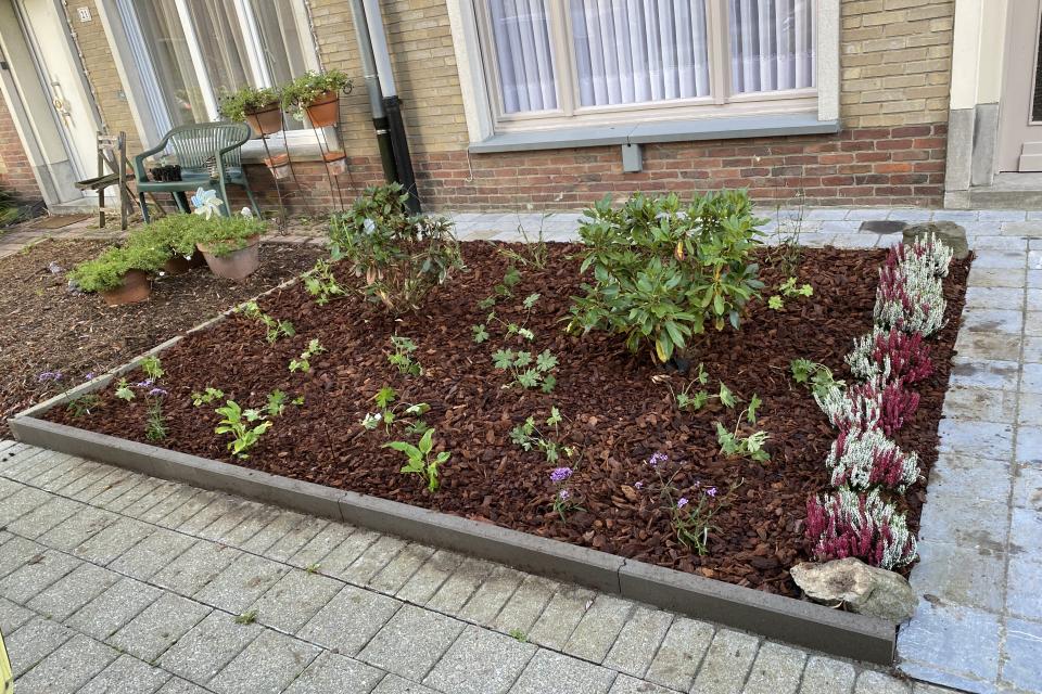 Aanplanten voortuin 