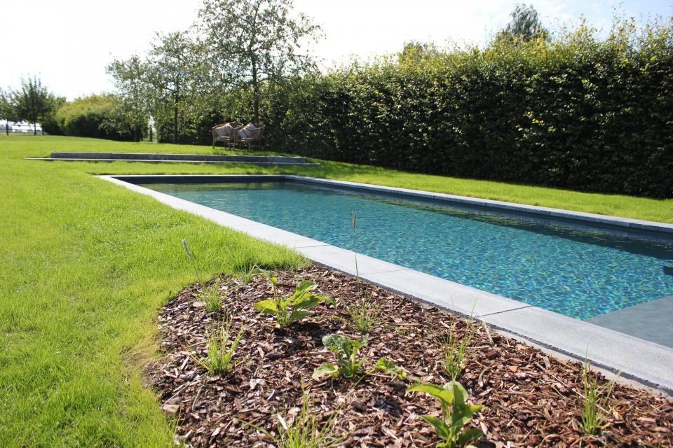 Aanleg zwembad, verharding, beplanting te Kruisem 