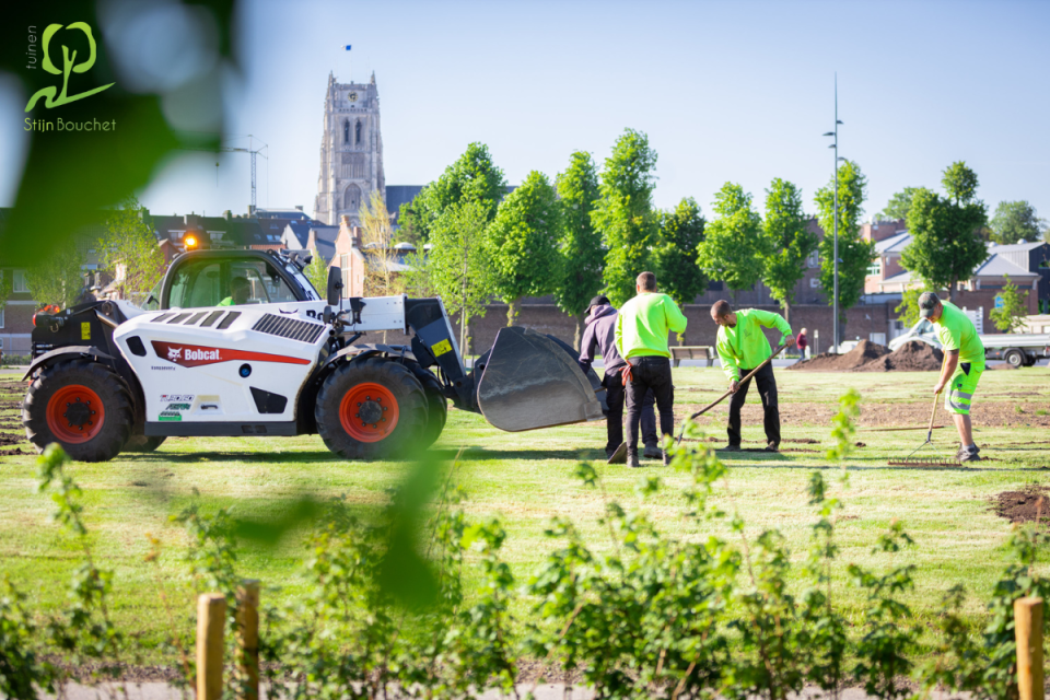 Groenaanleg openbaar