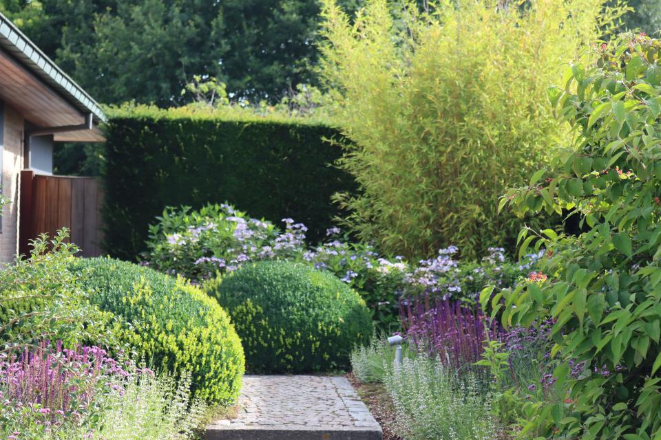 Klassieke tuin met vaste planten