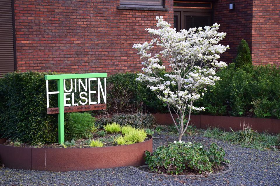 Befrijfslogo langs Cornus "Daybreak"