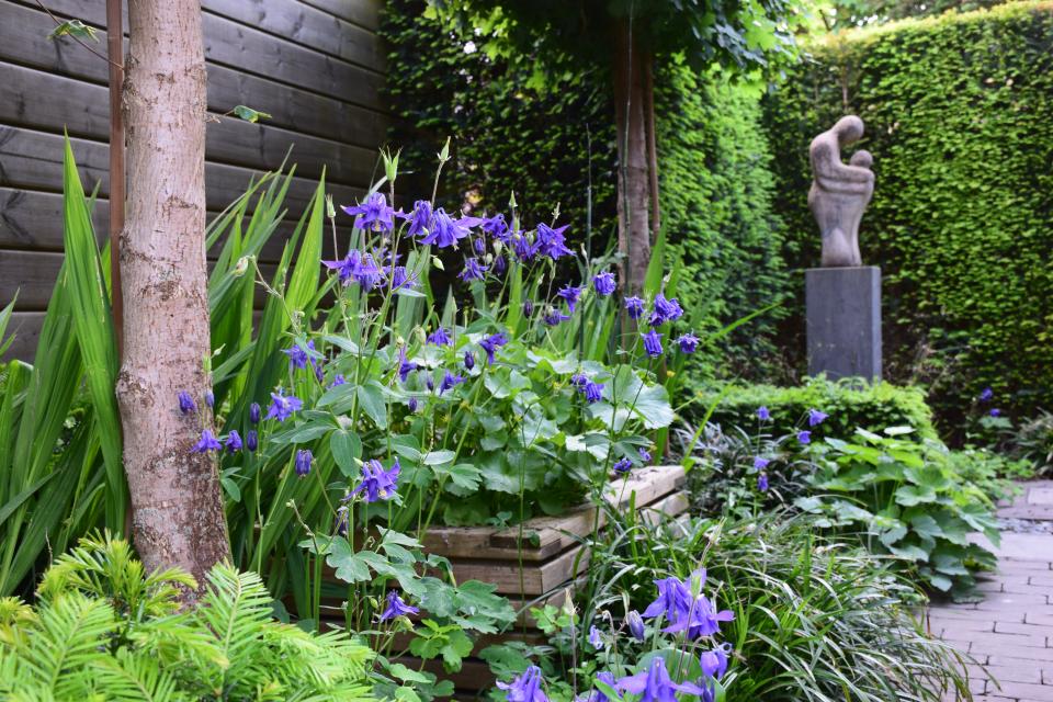 Schaduwtuin 